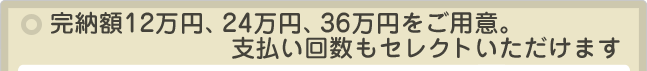 完納額12万円、24万円、36万円をご用意。支払い回数もセレクトいただけます