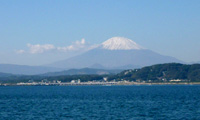 海・空・山の自然葬