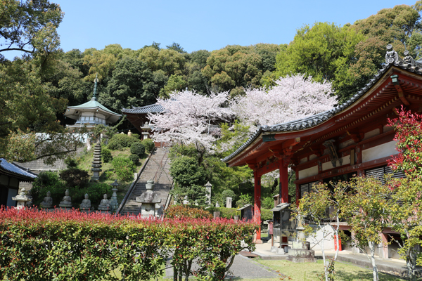 くらしの友