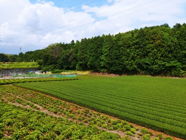 【新潟県内のおすすめの互助会は？】新潟県内の葬儀事情・斎場を紹介、互助会加入の注意点や選び方を解説