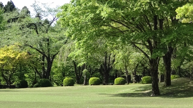 公園型