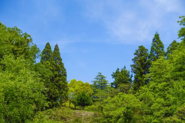 遺骨は返還されないことを理解する