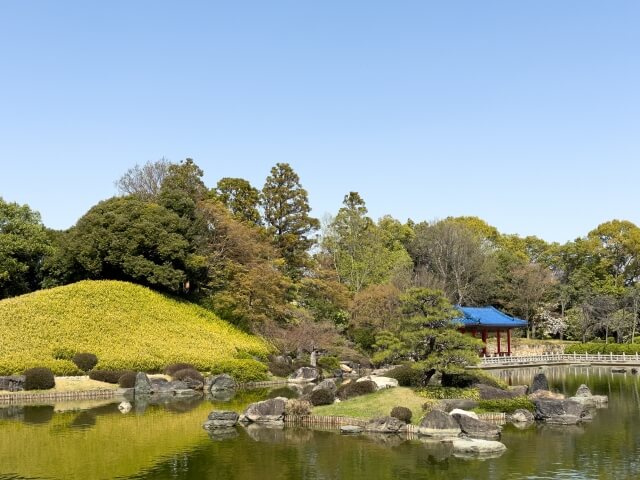 樹木葬が話題になっている背景