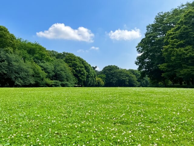 「令和の里」記念樹公苑