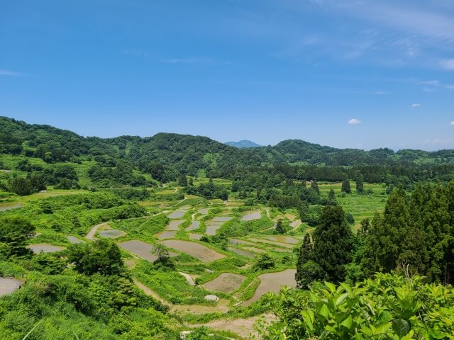 里山型