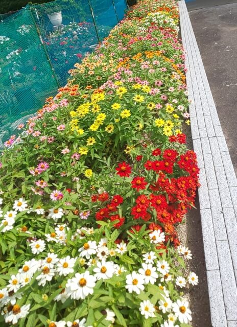 川口草加霊園 はじまりの杜