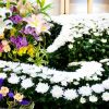 供花の種類や金額が統一されていることもある
